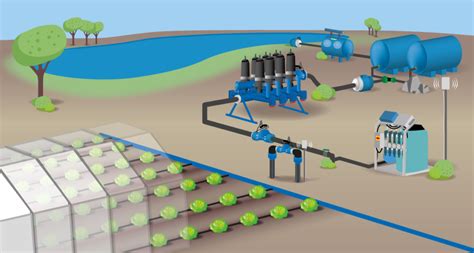 Plant Nutrition Monitoring and Fertigation Systems - Proagro