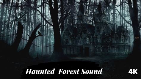 Haunted Forest Sounds - Creepy forest sounds - 4K - scary forest sounds ...