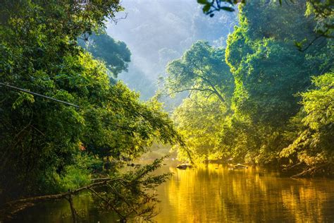 Khao Lak Tipps | Regenwälder, Leinwandbilder, Tropischer regenwald