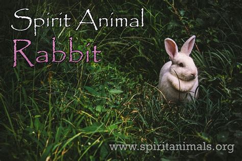 Rabbit Spirit Animal – Meaning and Interpretations - Spirit Animals