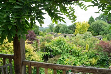 No longer a secret garden: Larch Cottage Nurseries, Melkinthorpe – Lake District Gems