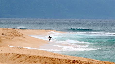 Lifeguard in Hawaii tragically killed in shark attack while surfing near Oahu - US Global News