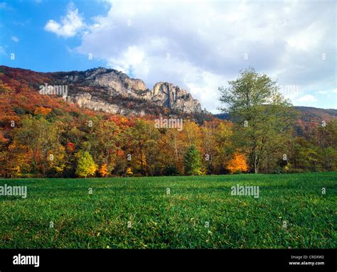 Monongahela national forest hi-res stock photography and images - Alamy