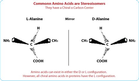 LifeTein synthesis: D-amino acid peptides