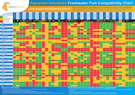 Freshwater Aquarium Fish Chart