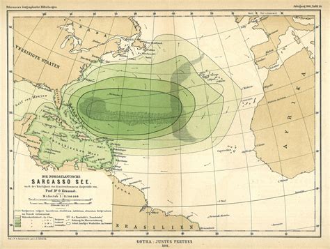 NOAA Office of General Counsel International Section - Marine Protected Areas (MPAs): Sargasso Sea