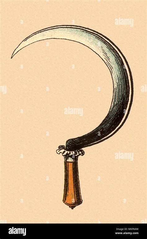 Sickle harvesting hi-res stock photography and images - Alamy