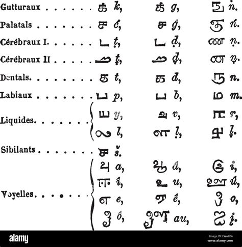 Old Tamil Alphabet