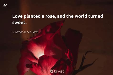 Famous Quotes About Roses And Love - Avrit Carlene