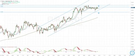 EUR/JPY Analysis and Forecast for 2023-2024: chart and rate - گلد من فارکس