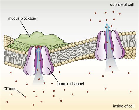 Proteins | Microbiology