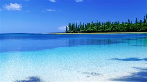 Top 7 Best Beaches You Need To Visit In New Caledonia