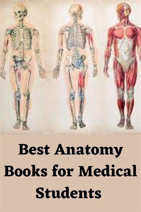 7 Best Anatomy Books for Medical Students [2023 Review] | Medical ...