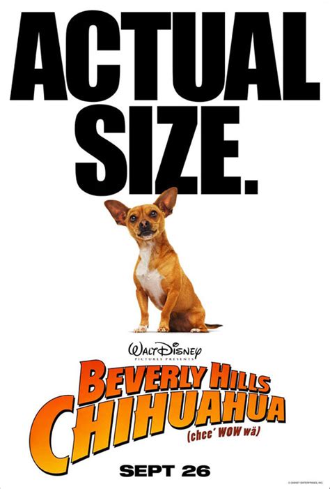 Beverly Hills Chihuahua (2008) Poster #1 - Trailer Addict