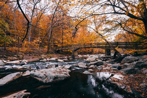 Photos of Fall Colors in Rock Creek Park (DC Foliage Guide)