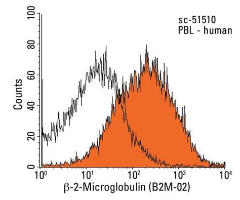 β-2-Microglobulin Antibody (B2M-02) | Santa Cruz Biotech