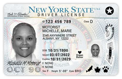 New Extension For REAL ID Deadline Announced By DHS | Bronxville Daily ...