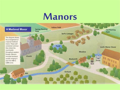 PPT - Manors PowerPoint Presentation, free download - ID:5363301