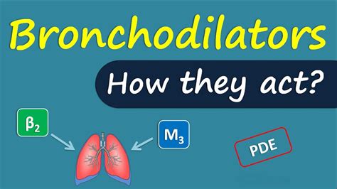 List Of Short Acting Bronchodilators