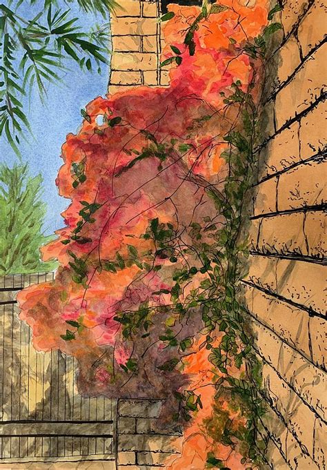 Bougainvillea Wall Painting by Jane Hayes - Fine Art America