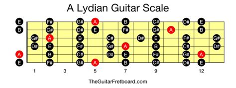 A Lydian Guitar Scale - The Guitar Fretboard