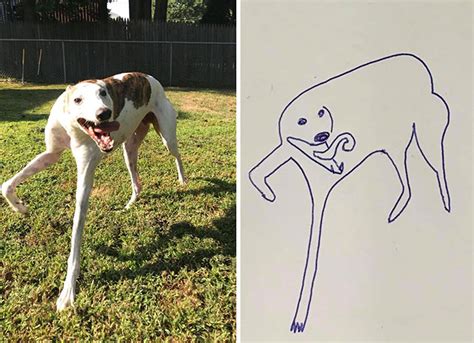 This Person Tried To Draw Their Dog And Now People Can't Get Enough Of Their Doodles | DeMilked