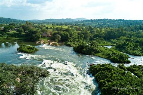 Jinja & Source of the Nile River | Safari Destinations & Attractions