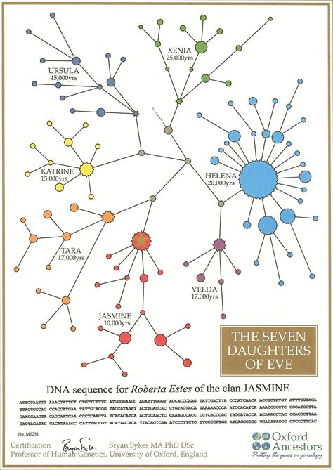 What is a Haplogroup? | Dna genealogy, Dna tree, Dna