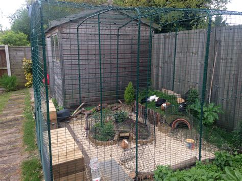 Outdoor Guinea Pig Run | Large Outdoor Guinea Pig Enclosure