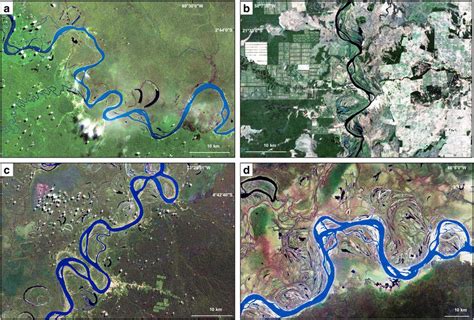 Meandering rivers with branches and anabranching sinuous reaches. a)... | Download Scientific ...