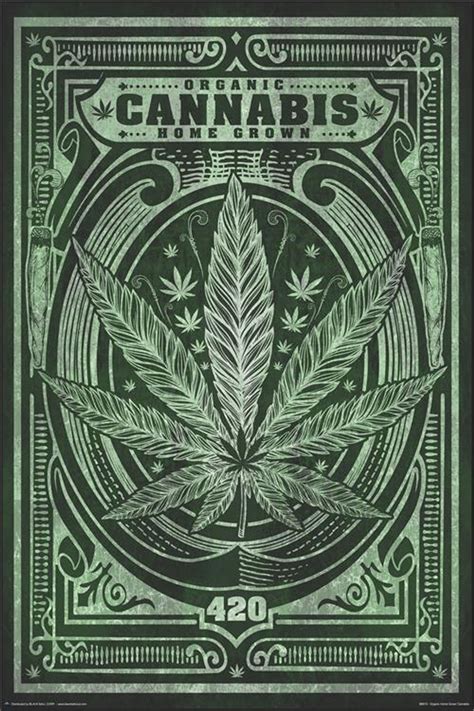 Organic Home Grown Cannabis Poster 24in x 36in - Blacklight.com