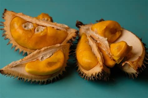 Durio kutejensis, comúnmente conocido como durian pulu, durian merah ...