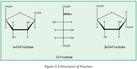 Structure Of Glucose Fructose And Sucrose