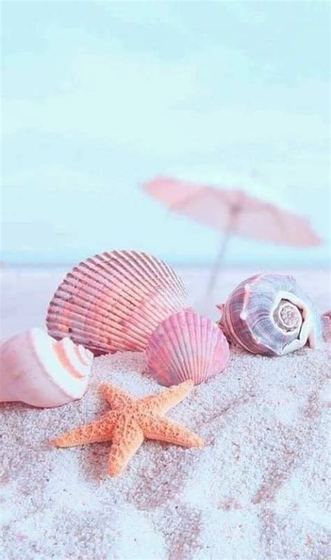 Pin by kuukkik on SHELLS | Summer wallpaper, Beach wallpaper, Ocean ...