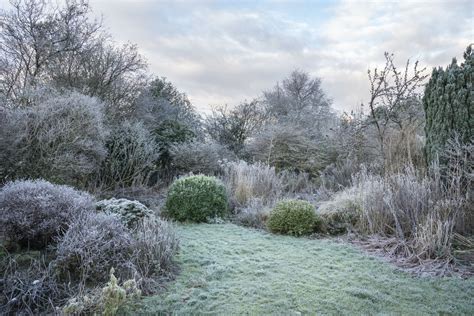 Ideas for a Beautiful Winter Garden