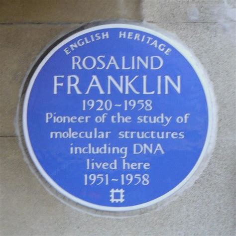 Rosalind Franklin : London Remembers, Aiming to capture all memorials in London