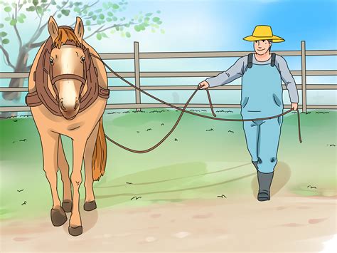 How to Harness a Horse: 15 Steps (with Pictures) - wikiHow