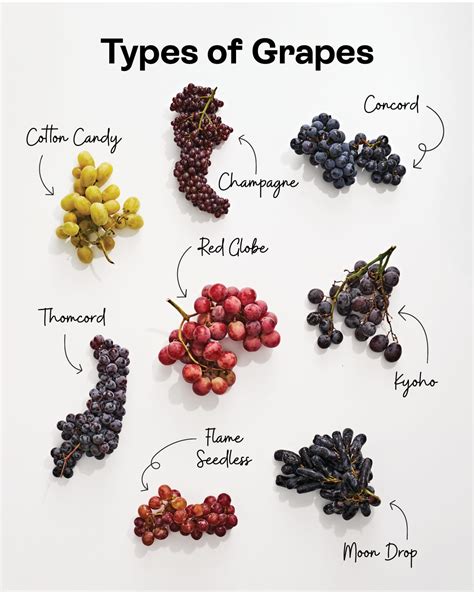 The Ultimate Grape Guide | Flipboard