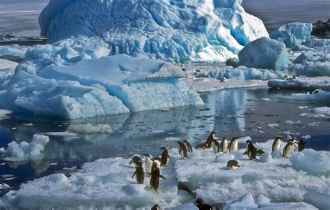 Antarctica Travel Guide