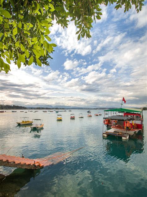 Pedal Boats on Lake · Free Stock Photo