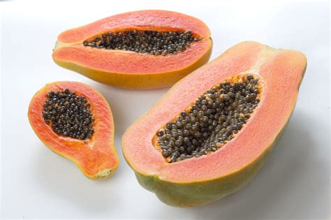 Papaya Maradol Onetech – Lenovo Seeds