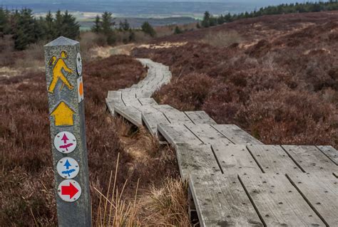 Walking in the Slieve Bloom - Visit Offaly