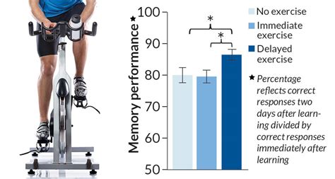 Properly timed exercise aids memory | Science News