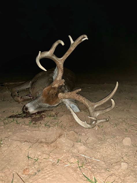 Kansas Hunting Photo Gallery