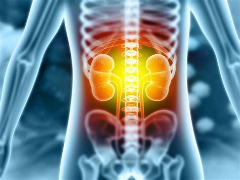 Kidney cancer, new immunotherapy drugs reduce the risk of recurrence after surgery by a third ...