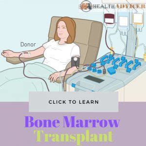 Bone Marrow Transplant: Type, Risks, Preparation, Procedure, Cost, Recovery