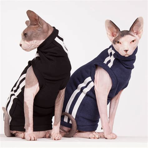 TRACK SUIT – Sphynx Cat Wear