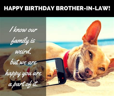 Happy Birthday Brother In Law Funny Pictures | lilacbubbles