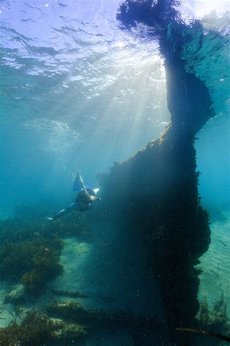 Intro to Shipwrecks