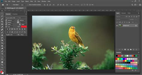 Background Eraser Tool in Photoshop | How to Use background eraser tool